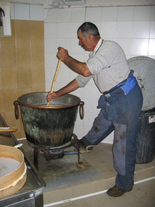 scuola di formaggio-61.JPG